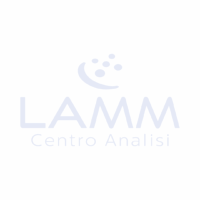 LAMM Centro Analisi