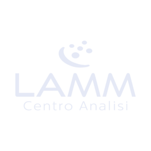 LAMM Centro Analisi