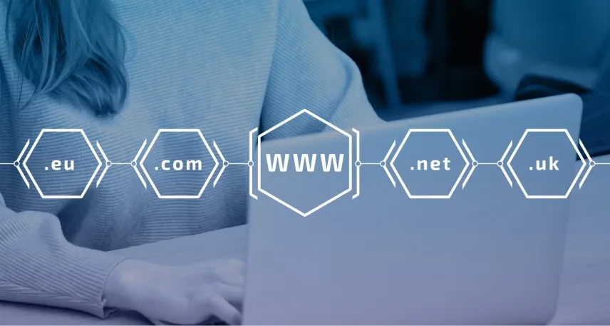 Esempi di estensioni del dominio web